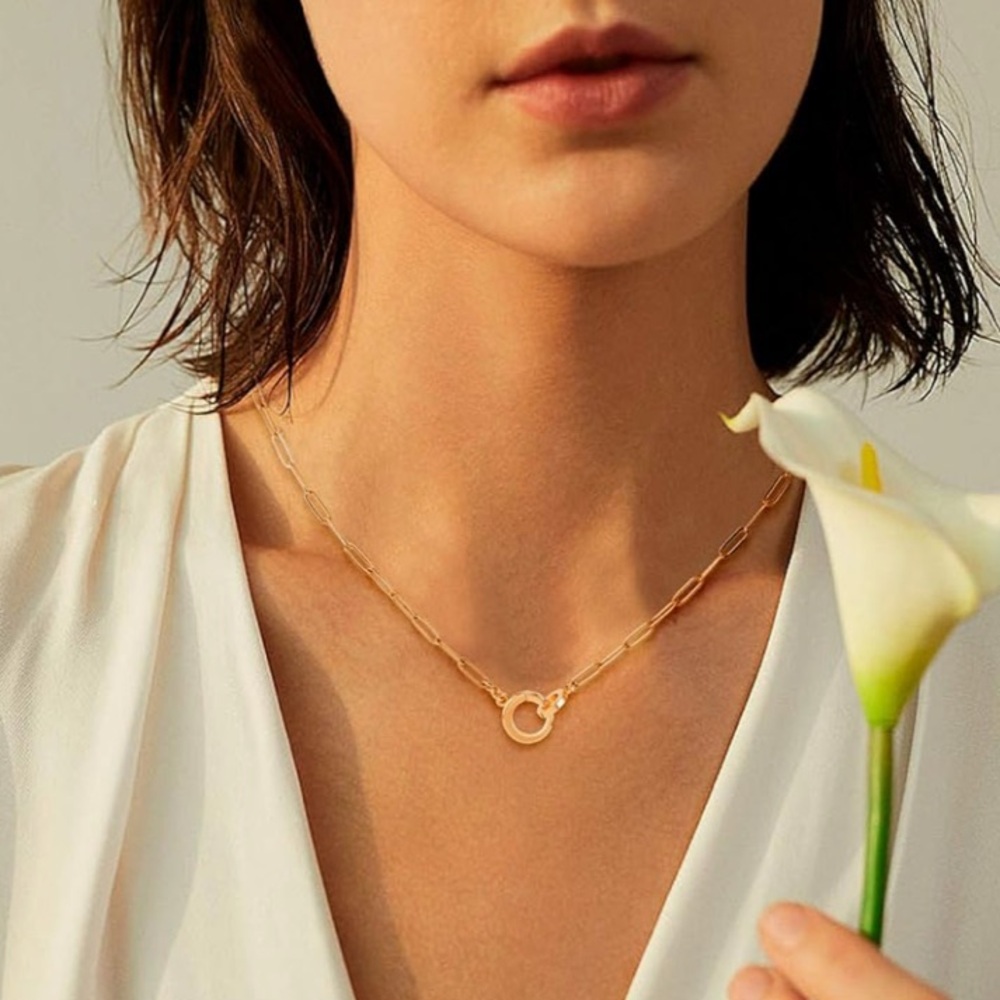 Classic Gold Interlocking Paperclip Circle Pendant Lariat Charm Holder Necklace - Picture 2 of 14